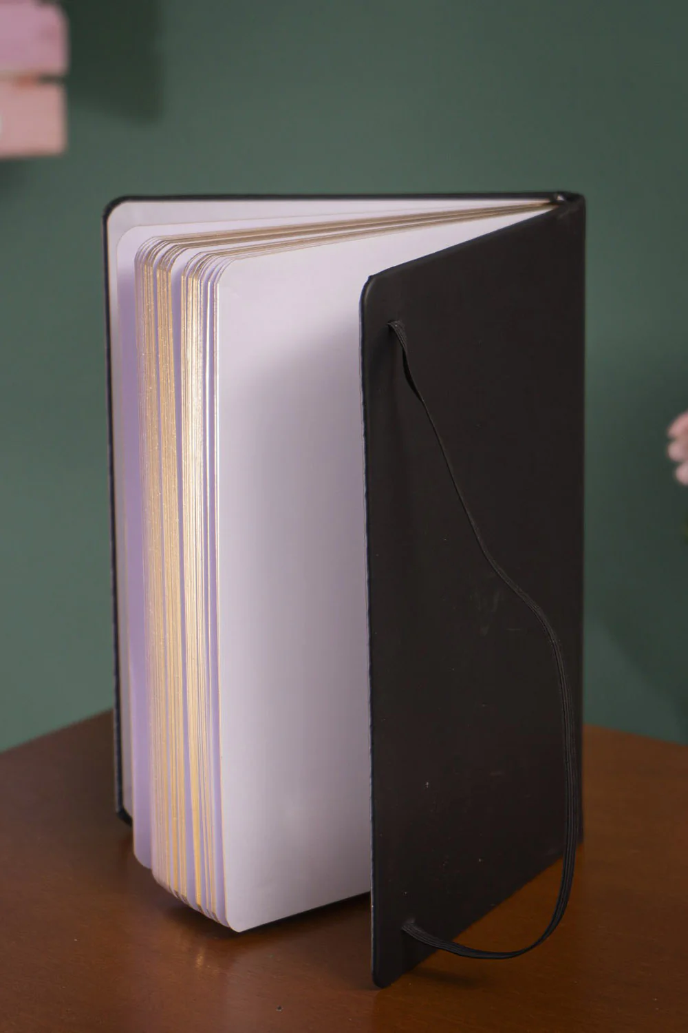 Mystic Mog Book Of Spells Journal - Image 7