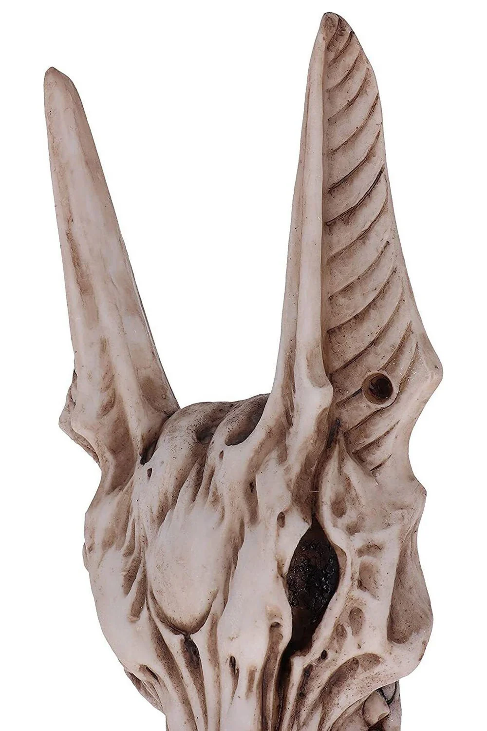Anubis Skull Door Knocker - Image 3