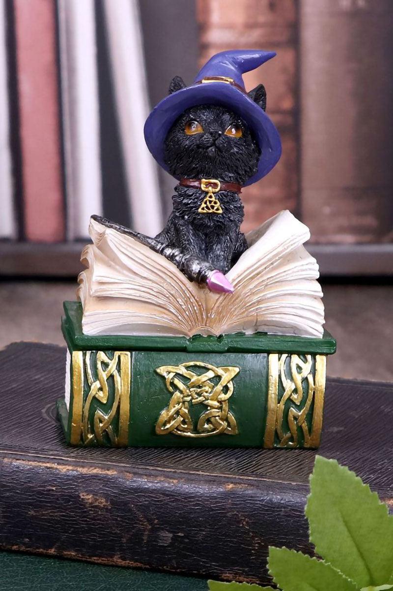 Binx Witchy Black Cat with Spellbook Trinket Box - Image 2
