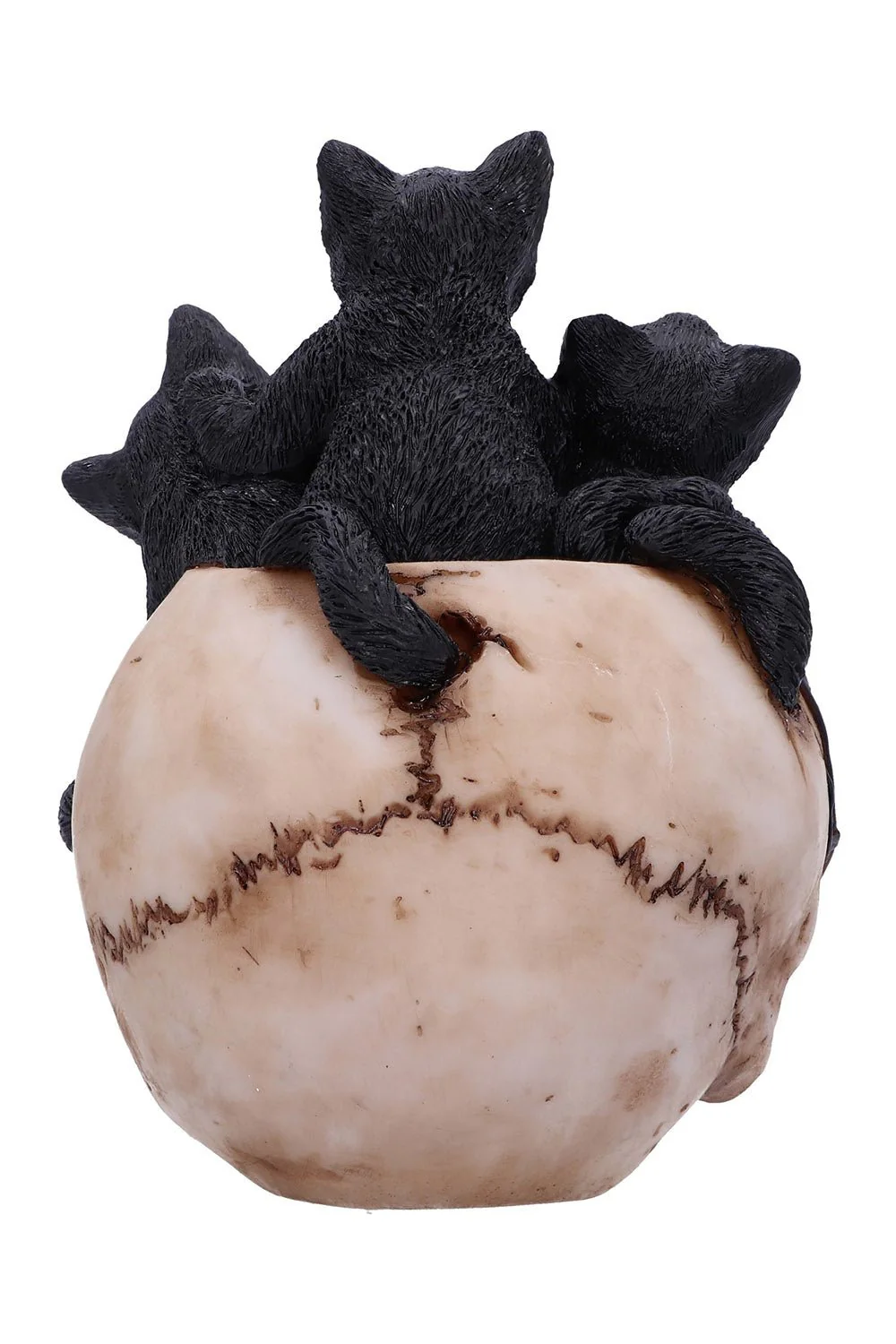 Cranial Litter Sculpture - Image 3