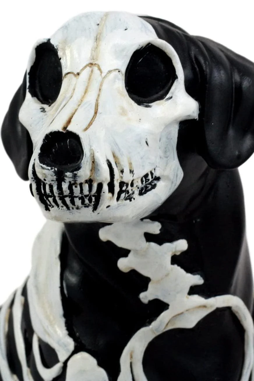 Day of the Dead Dog Sculpture - Image 2
