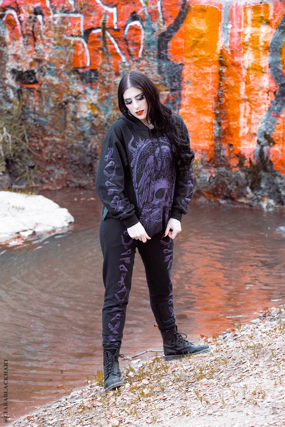 Death Raven Hoodie w/ Crow Sleeves [PURPLE] - Image 11