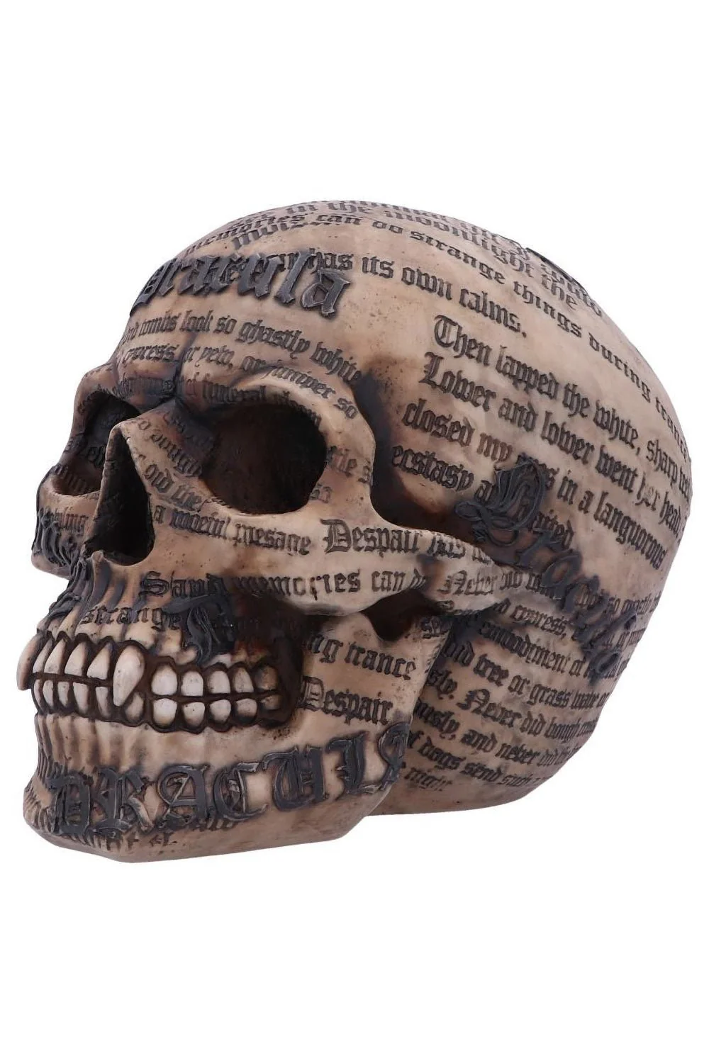 Draculas Tale Skull - Image 5