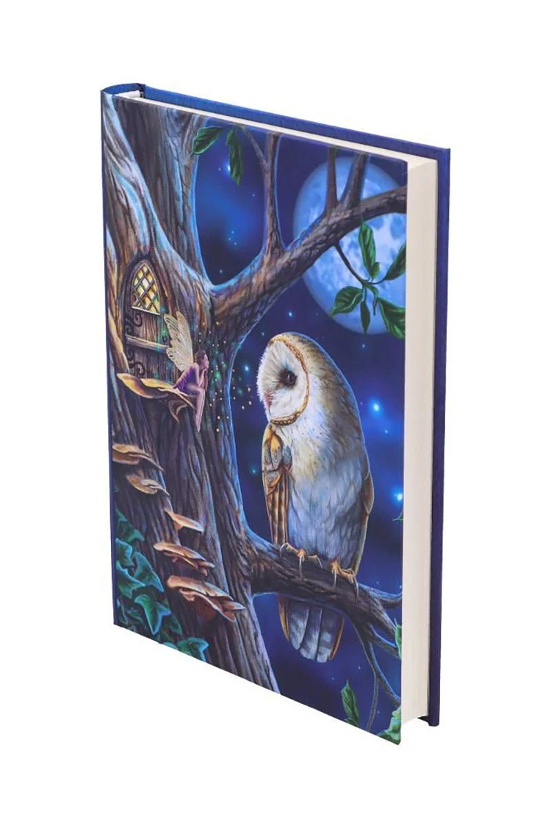 Fairy Tales Journal - Image 2