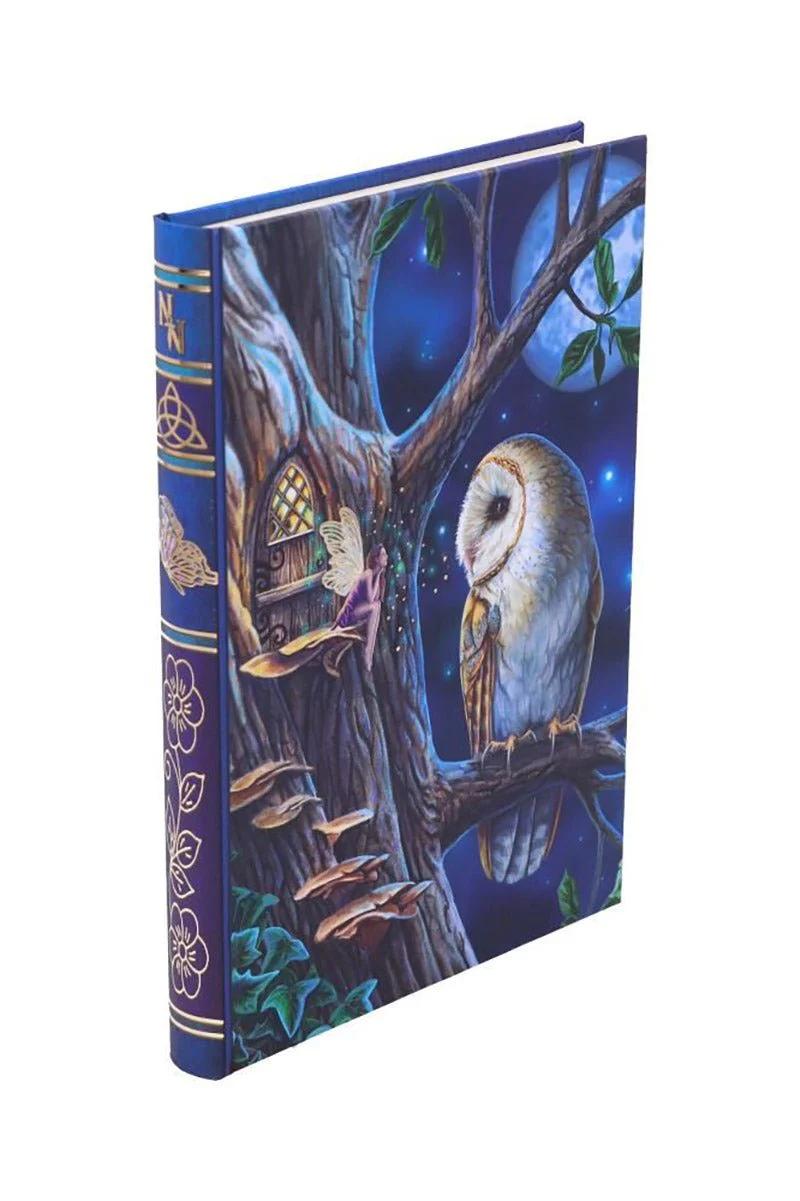 Fairy Tales Journal - Image 4