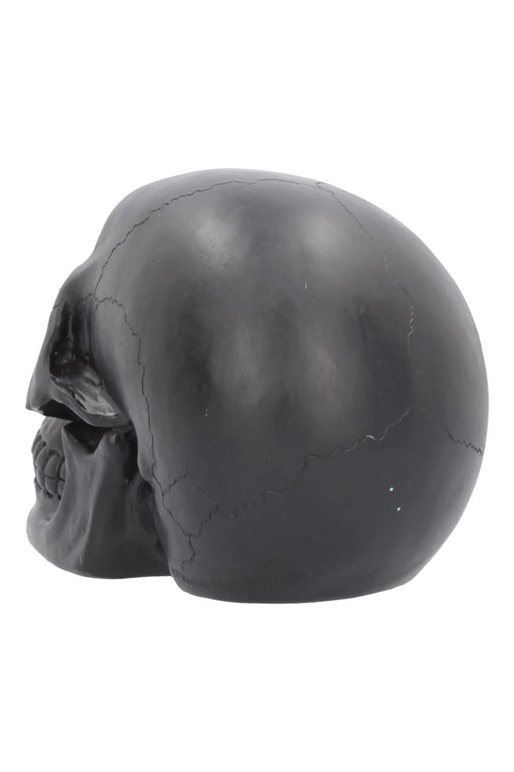 Geode Skull [PURPLE] - Image 5