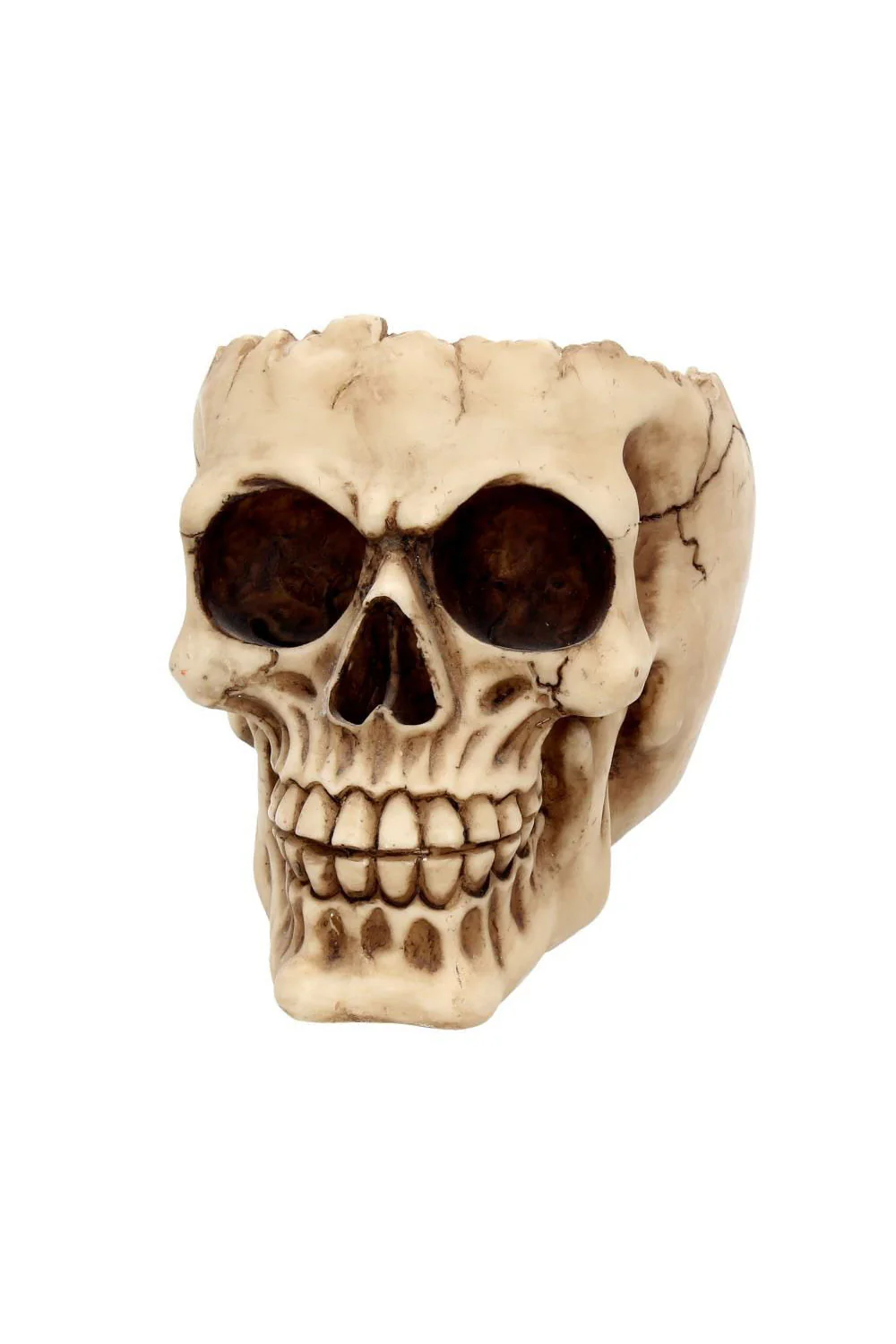Lobo Skull Bowl - Image 2