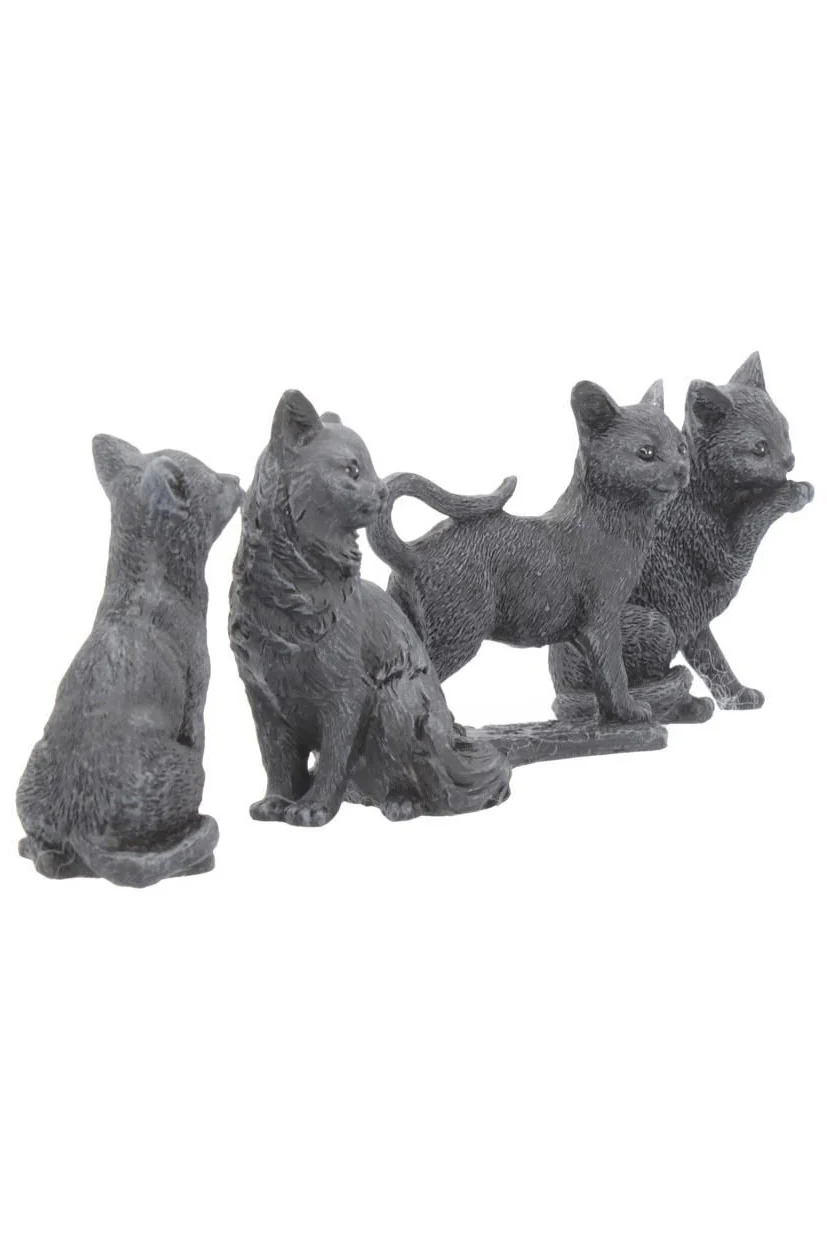 Lucky Black Cat [MYSTERY ITEM] - Image 6