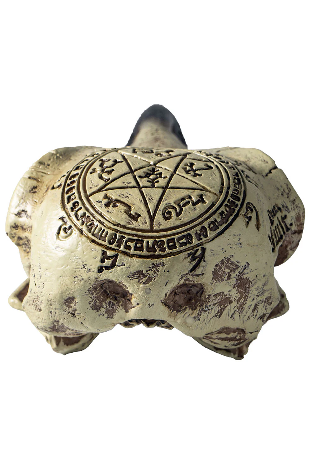 Omega Raven Skull - Image 5