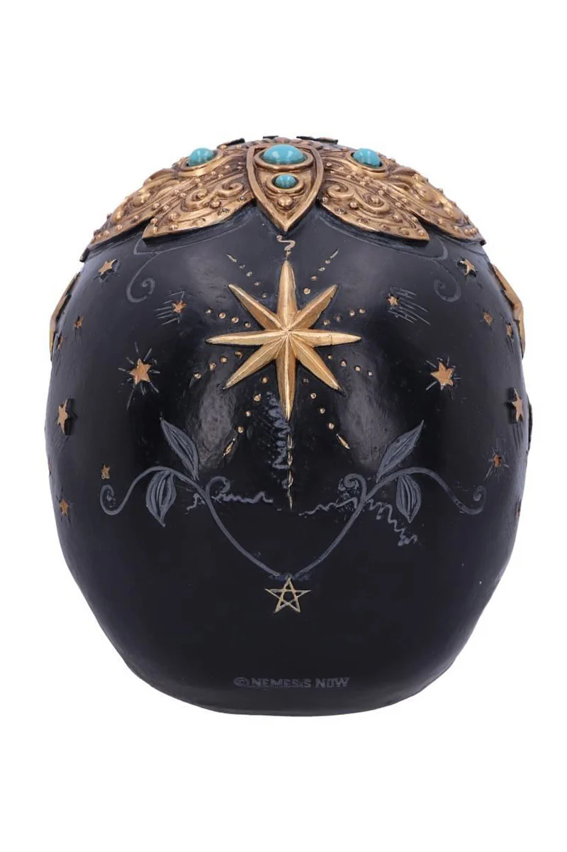 Palmistry Destiny Skull Sculpture - Image 6