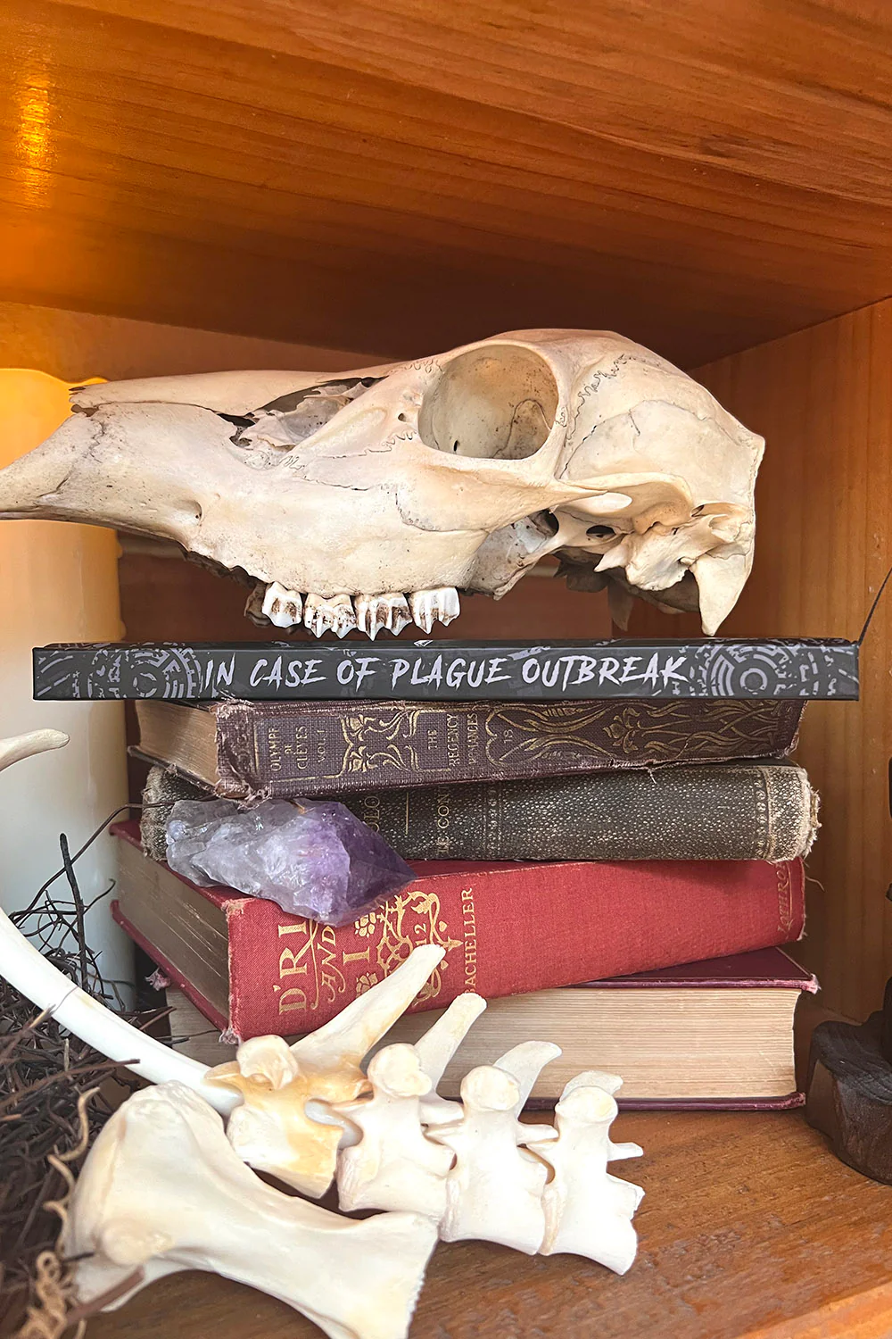 Plague Doctor Journal - Image 10