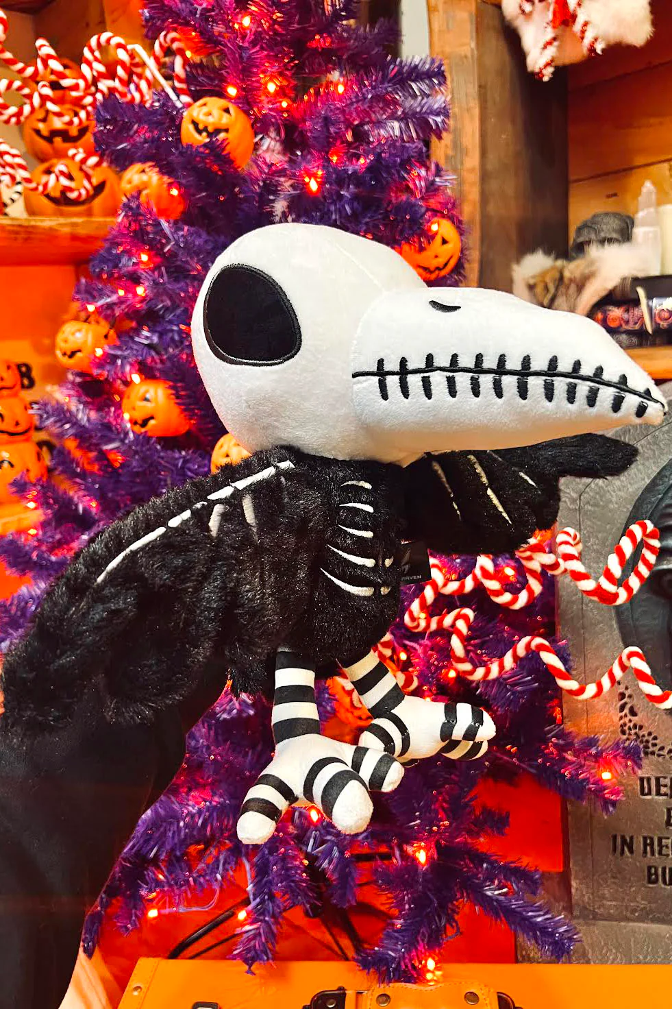 Poe's Raven Plush Toy - Image 3
