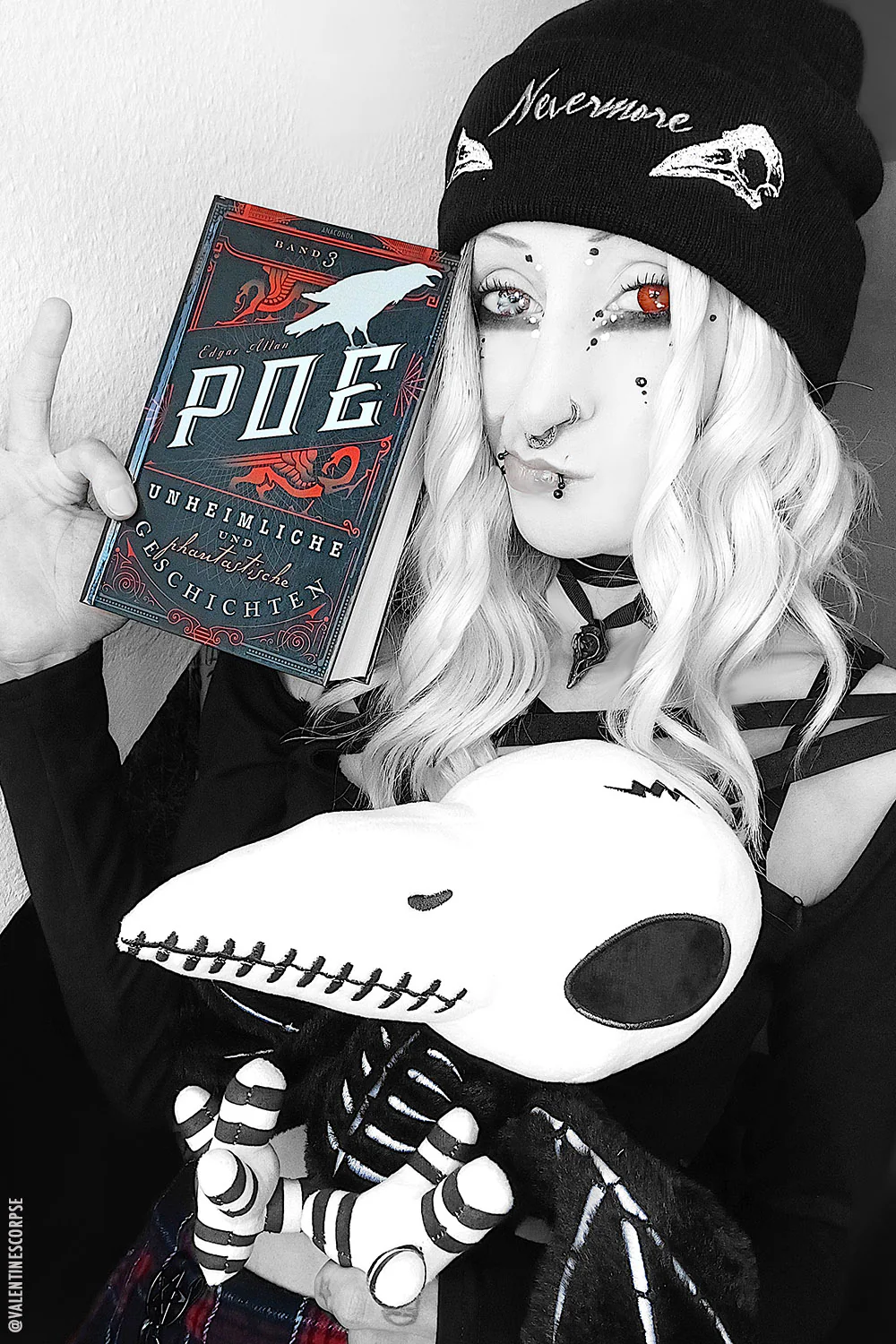 Poe's Raven Plush Toy - Image 9