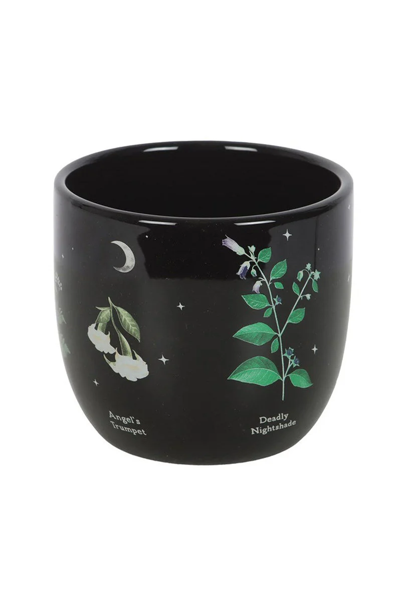 Poisonous Plants Planter - Image 3
