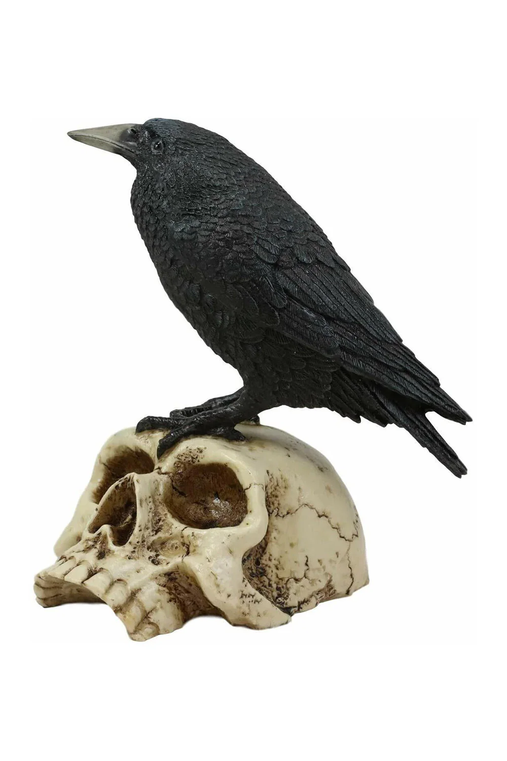 Raven On Skull Statue