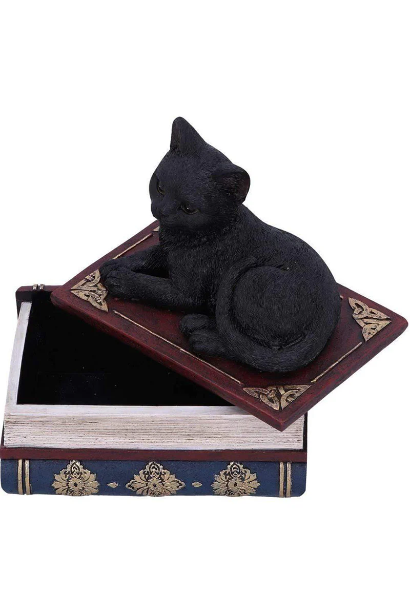 Salem Spells Black Cat Trinket Box - Image 2