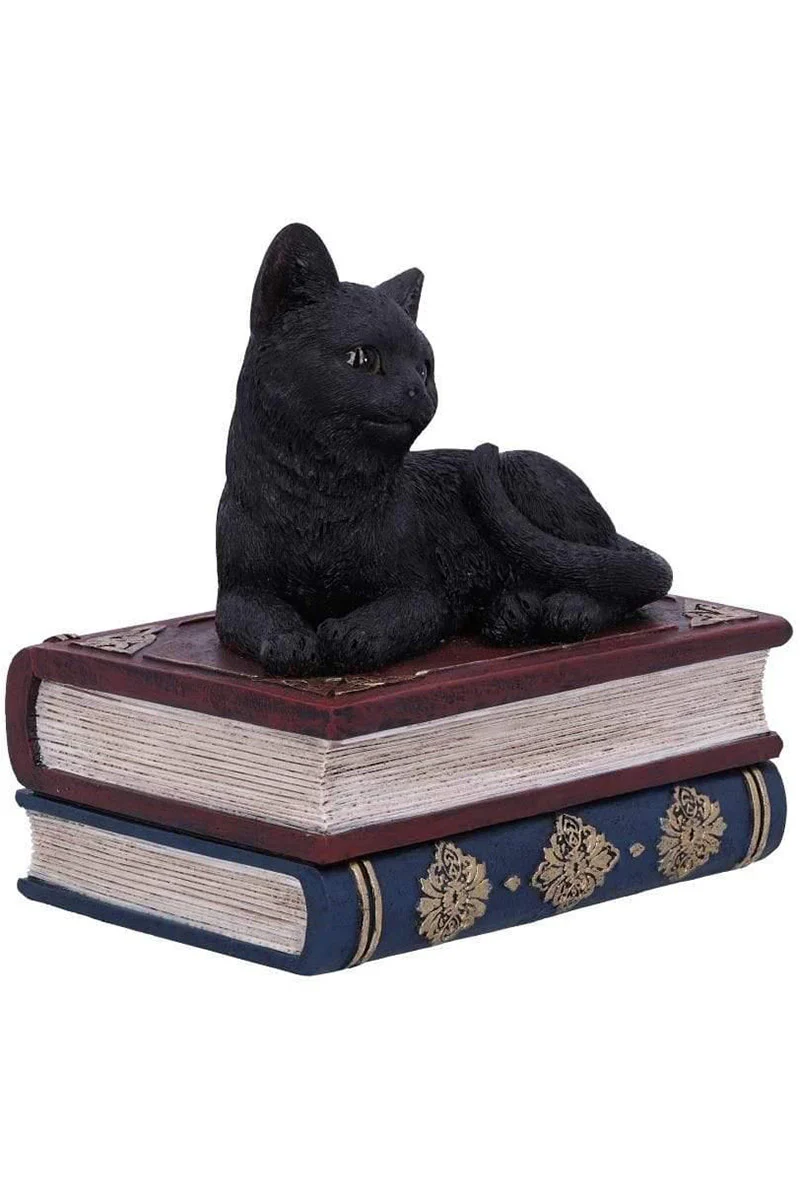 Salem Spells Black Cat Trinket Box - Image 3