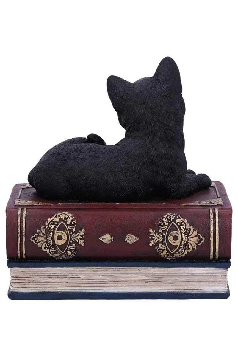 Salem Spells Black Cat Trinket Box - Image 4