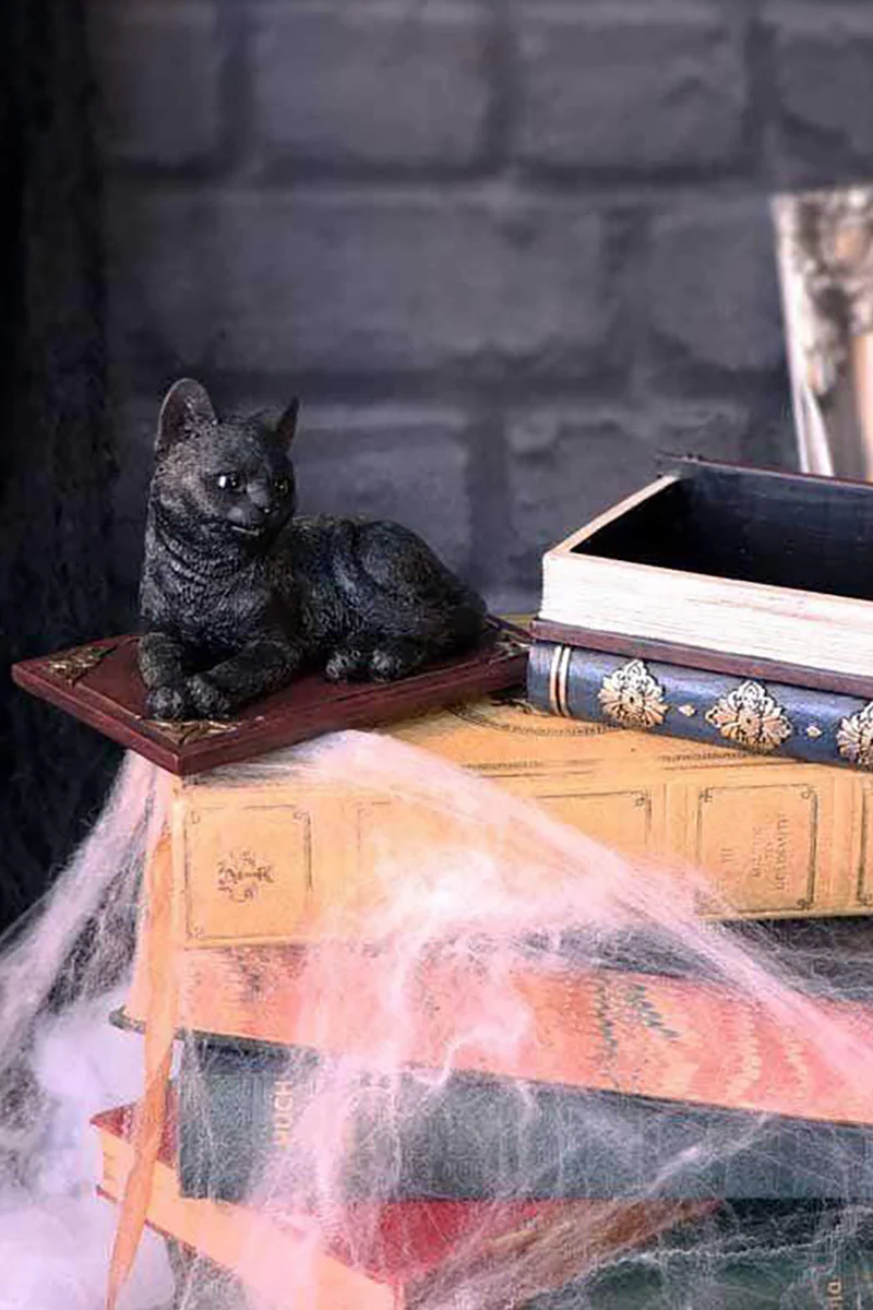 Salem Spells Black Cat Trinket Box - Image 8