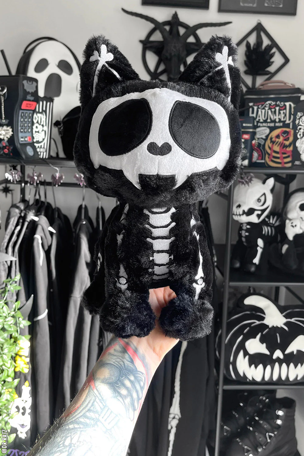 Skelekitty Plush Toy - Image 5