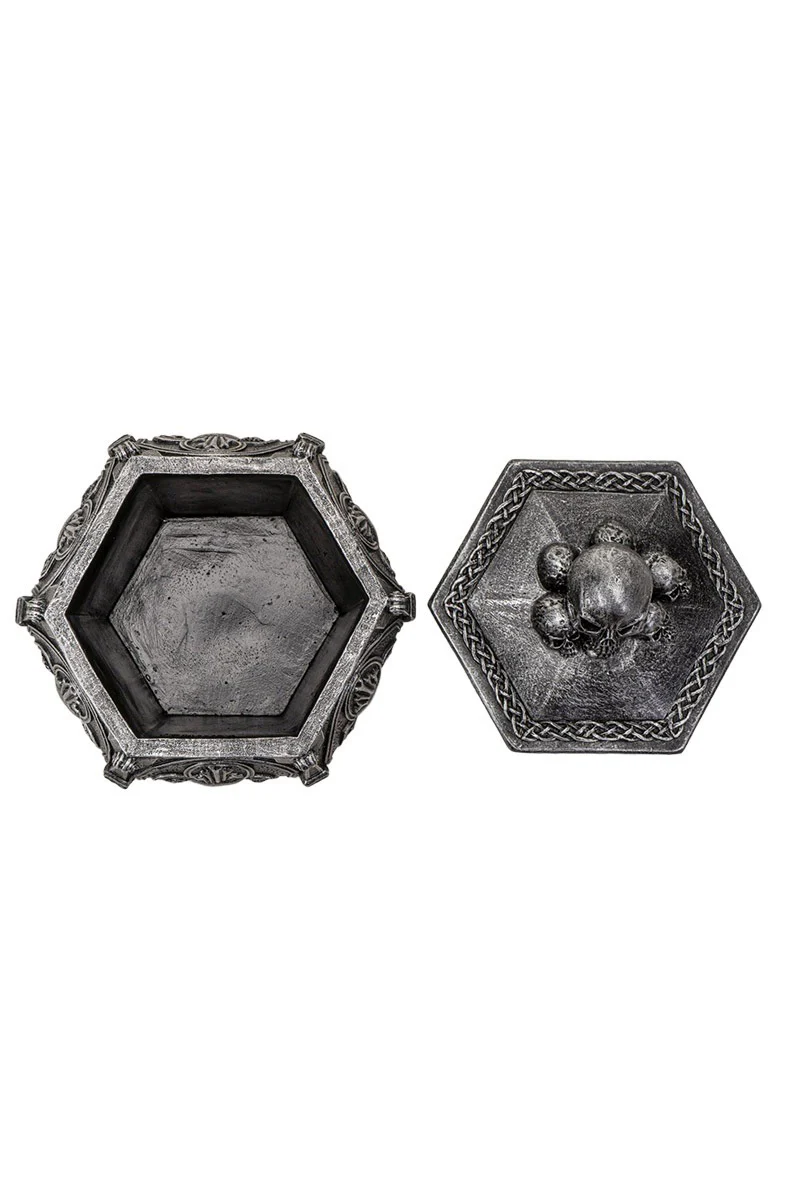Skull Ossuary Box - Image 4