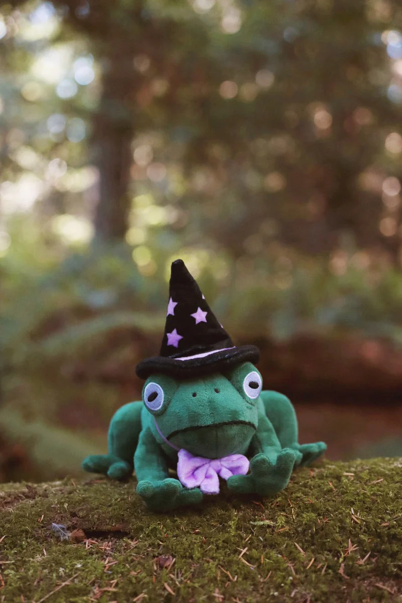 Toad Witch Plushie - Image 4