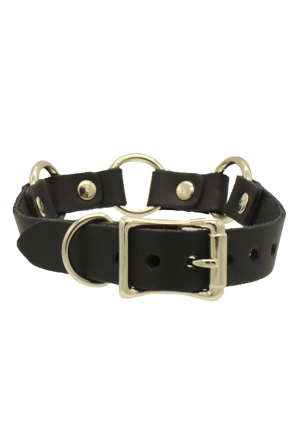 Triple Threat O-Ring Collar - Image 2