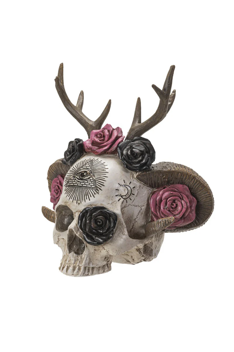 Wiccan Skull Statue - Image 3